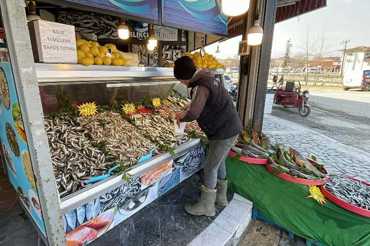 Karadeniz’deki avcılık yasağı fiyatlara yansıyacak