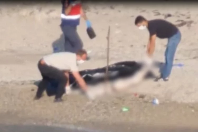 Kocaeli'de dehşete düşüren olay: Sahile başı, el ve ayakları olmayan kadın cesedi vurdu