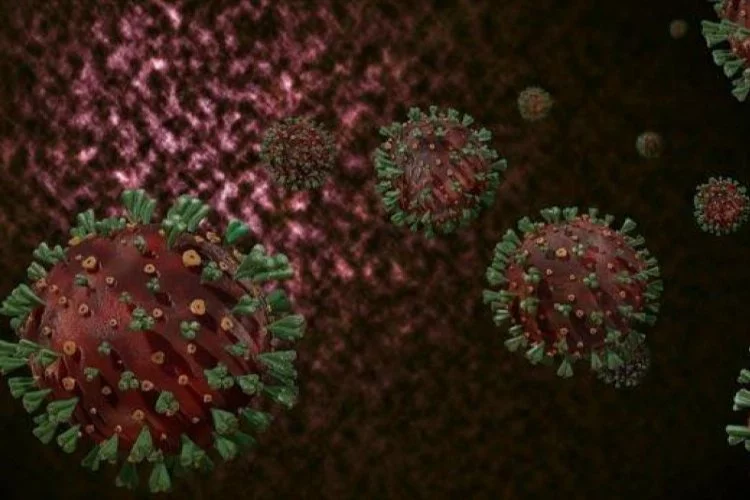 Koronavirüste yeni varyantlar görebiliriz 