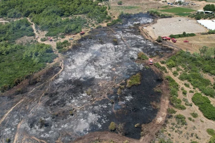 Manavgat'taki orman yangınında ihmal iddiası