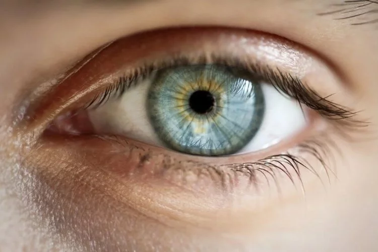 Araştırma: Tüm mavi gözlü insanlar aynı soydan geliyor