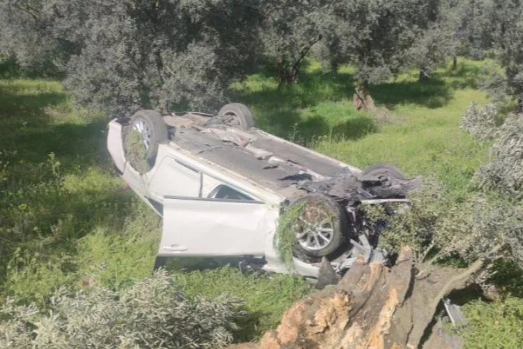 Bursa'da feci kazada otomobil zeytinliğe uçtu