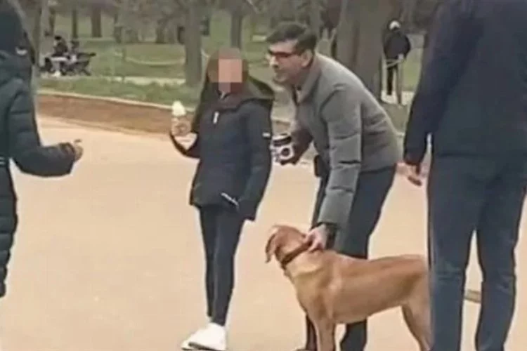 Polis, İngiltere Başbakanı Sunak'ı uyardı: Köpeğinize tasma takın