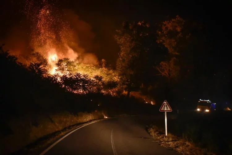 Portekiz'deki orman yangınında 15 bin hektar alan kül oldu