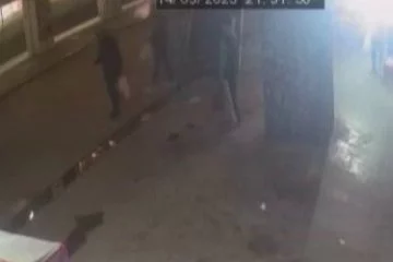 Şaka için serbest bırakılan pitbull çocuğa saldırdı