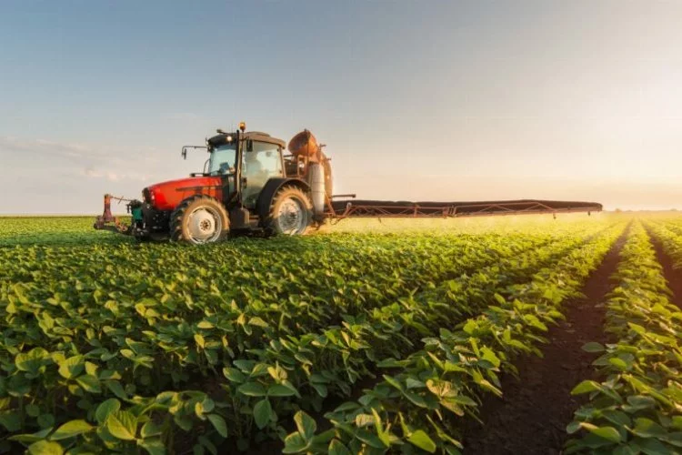 Tarım-ÜFE yıllık yüzde 157,89 arttı