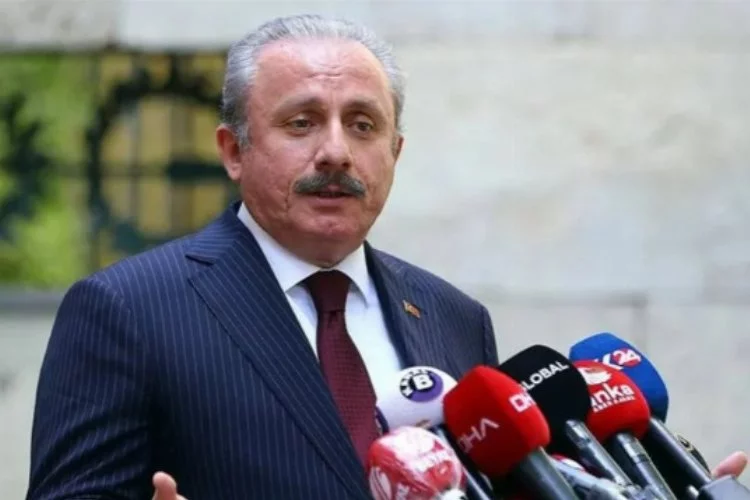 TBMM Başkanı Şentop'tan ''Kürtçe'nin tutanaklarda 'bilinmeyen dil' olarak yazıldığı'' iddiasına cevap