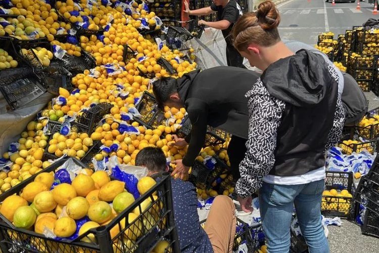 TIR'dan onlarca kasa limon savruldu: Yardıma vatandaşlar koştu