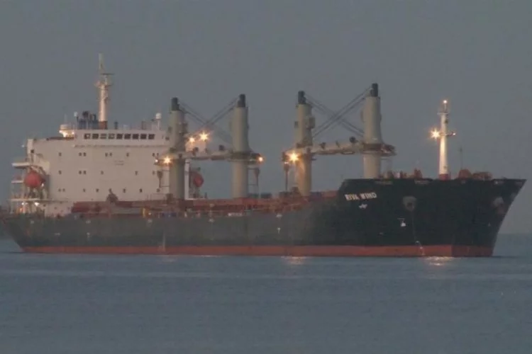 Ukrayna’dan yola çıkan tahıl yüklü iki gemi İstanbul Boğazı'ndan geçti