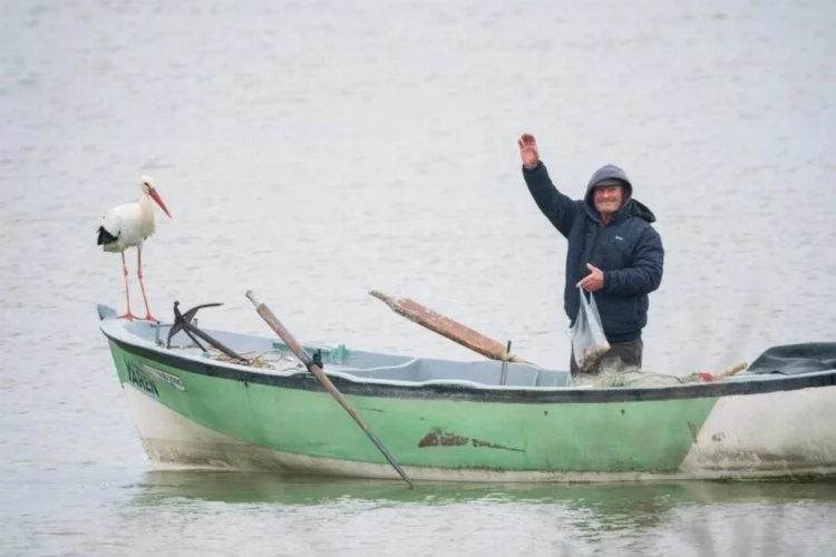 Yaren Leylek 13. kez Balıkçı Adem Amca'ya kavuştu