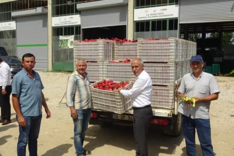 Yenişehir'de çiftçi ürettiğini komisyonsuz tüketiciye ulaştırıyor